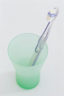 生活日用品素材全攻略 從圖片、背景到模板的一站式解決方案