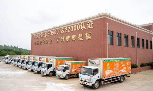 廣東羅定天溪冷鏈物流產地倉一期項目正式動工，助力海淘物流升級